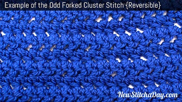 Odd Forked Cluster Stitch